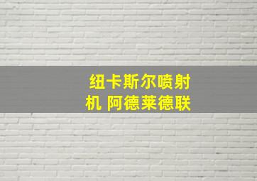 纽卡斯尔喷射机 阿德莱德联